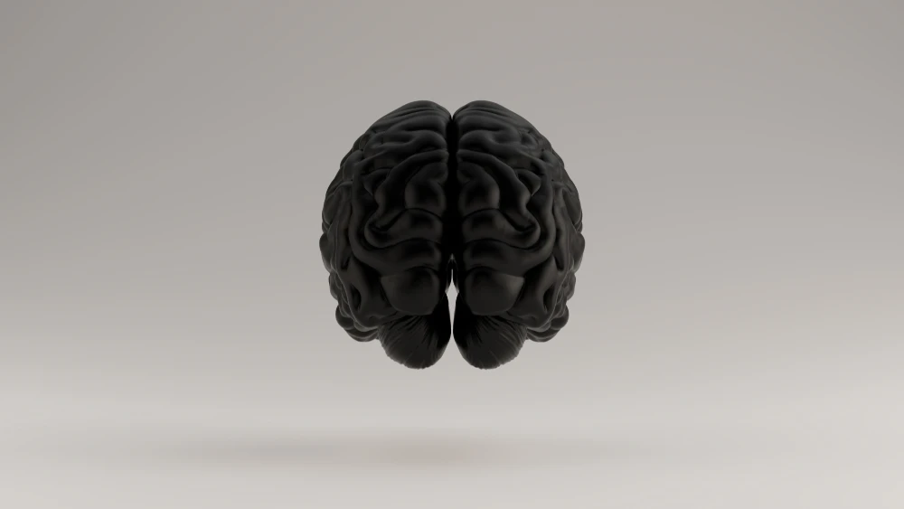 99-security-brain